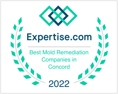 Expertise 2022 Award