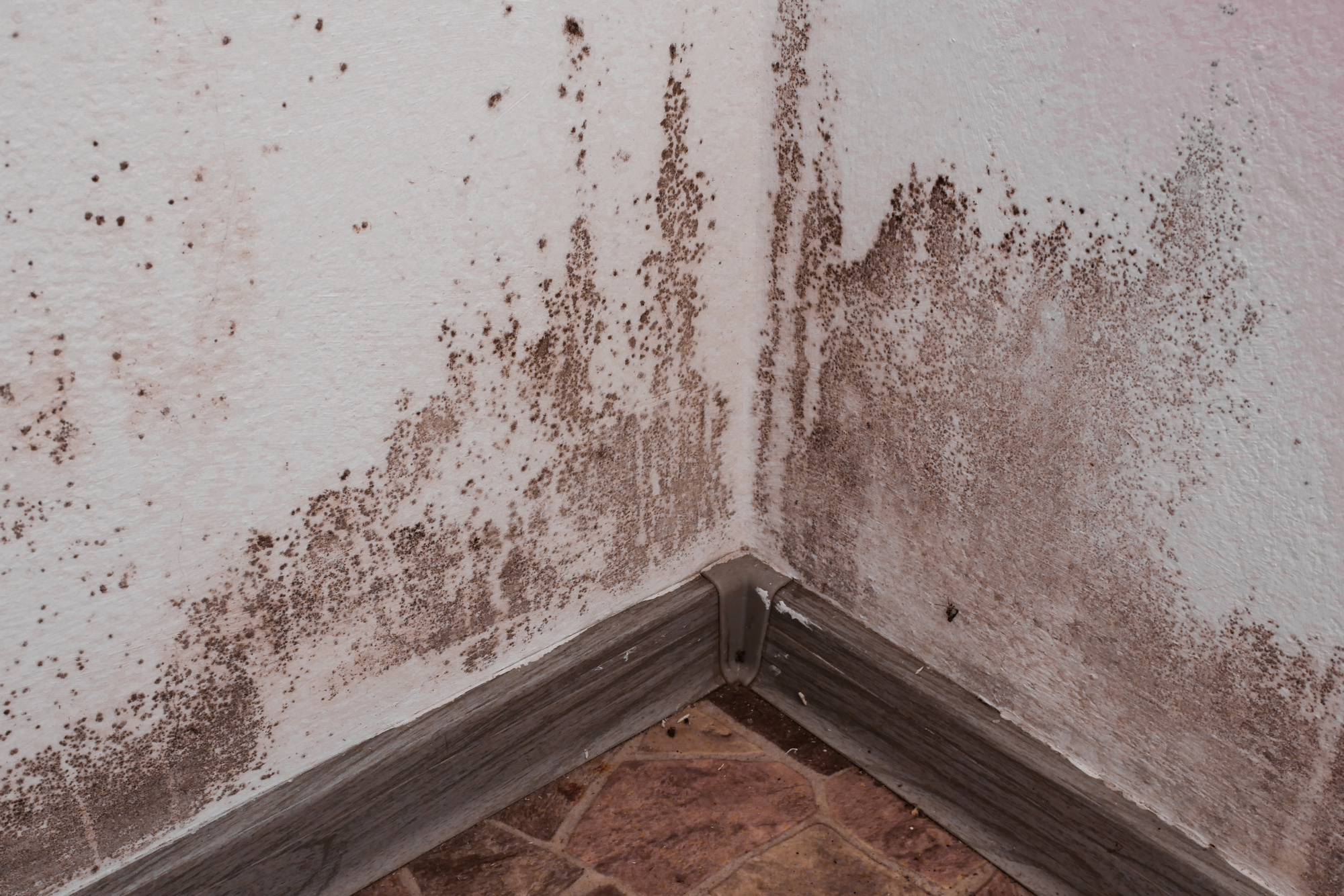 7 Tell-Tale Signs Your Home May Need Crawl Space Repair