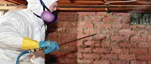 Mold Remediation Charlotte, NC
