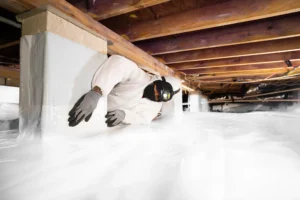 Charlotte Crawl Space Repair Before Mold Grows